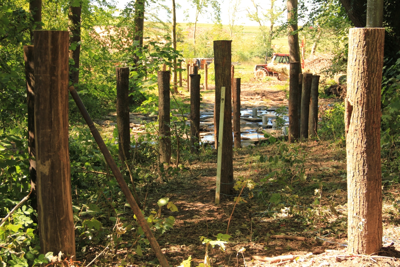 Lannershaff - Holz - Bretter